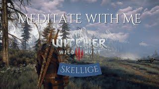 Meditate with Me in The Witcher 3 | Skellige [Pomodoro Timer] [Next Gen] [RTX]