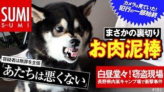 【お肉泥棒】飼い主のお肉を盗む柴犬