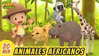 Animales Africanos Episodio Compilación (Español) - Leo, El Explorador | Animación - Familia - Niños