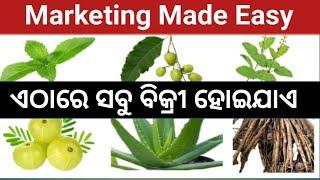 Marketing in Commercial Farming | Marketing of Medicinal Plants | Odisha Commercial Farming