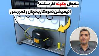 یخچال چکونه کار میکند؟ | نحوه کار کردن یخچال؟ | یخچال چگونه خنک میکند؟ ‍‍️