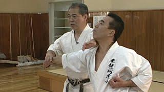 Gekisai Dai Ichi  _ secret techniques (English translation)_ Yoshio Kuba_ Goju ryu Karate