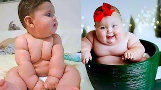 Top Funny Chubby Babies That Make You Laugh || Big Daddy