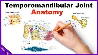 Temporomandibular Joint (TMJ) Anatomy - Animation