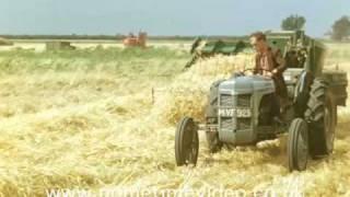 Farming in Father's Day