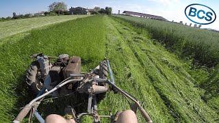 FALCIATURA OLD SCHOOL | BCS | hay mowing