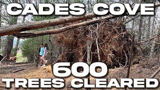 600 FALLEN TREES CLEARED FROM CADES COVE AFTER 90 MPH WINDS