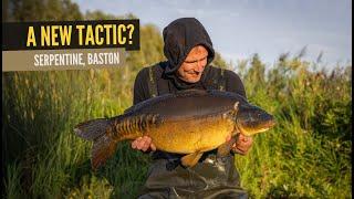 A New Tactic!? | Embryo Baston Serpentine | Extract