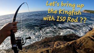 #Catching Kingfish with ISO Fishing Rod #Sydney Rock Fishing #호주 시드니 갯바위 낚시 