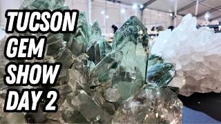 Tucson Gem Show Day 2 | 22nd Street & Red Lion Inn | Crystal Shop with me!