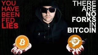 BSV is BITCOIN  = There are NO FORKS #BSV #Bitcoin #Crypto #Conspiracy