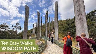 Wisdom Path ｜10 Easy Hong Kong Walks