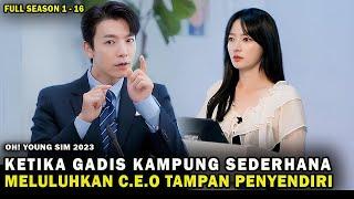 KETIKA GADIS KAMPUNG SEDERHANA, MELULUHKAN C.E.O TAMPAN PENYENDIRI, Alur Cerita Drama Film Korea