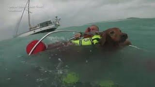 United States Coast Guard saves man and dog after they drifted off the coast of Florida