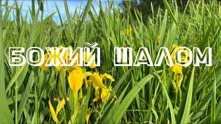 «Божий Шалом»