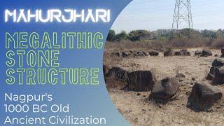 Megalithic Stone Structure || Mahurjhari, Nagpur || Gramin Diaries