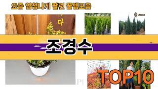 가장 많이 팔린 조경수 추천 Top10!