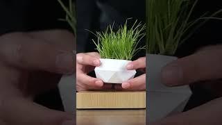 The Levitating Floating Plant Pot | Trendy Goods Gadgets | #shorts #trendygadgets #2024