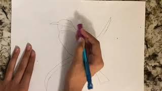 Rainbow Bee-eater Bird Drawing | Artsy Hands