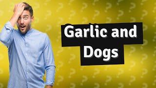 What happens if my dog accidentally ate a little bit of garlic?