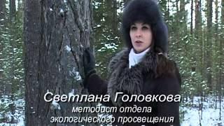 Заповедник Малая Сосьва