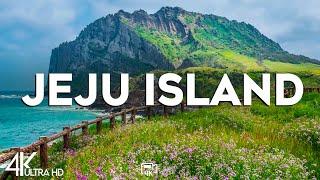 Top 10 Best Tourist Attractions in Jeju Island, South Korea  - Travel Video 2024