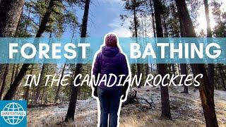 The Art of Shinrin Yoku: Forest Bathing in the Canadian Rockies | SmarterTravel