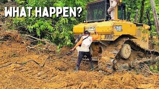 The Dozer Gets Stuck Back While Clearing A Forest Of Big Trees