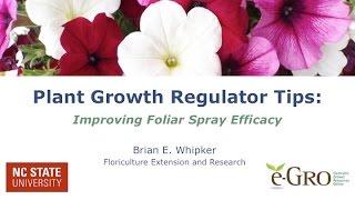 Increasing PGR Foliar Spray Efficacy