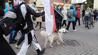 В Бобруйске люди тоже уже идут.  Видео: Вечерний Бобруйск