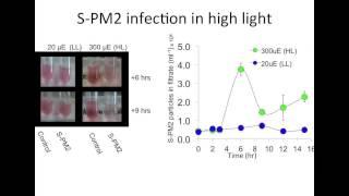 Talk on Cyanophage psbA by Andy Millard at #DMIS13