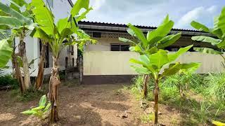 2 Bedroom Home with Palm Plantation and Mountain Views in Khuk Khak, Phangnga