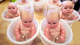 Best Cutest and Funniest Baby Moments of The Year - Funny Baby Videos