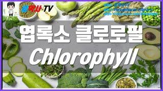 엽록소 클로로필 Chlorophyll 효능, 부작용, 추천제품