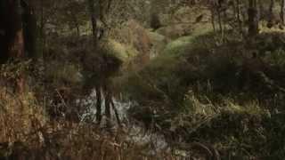 UNESCOMŮŽEŠ [unesco you like] – Třeboň Fishpond Heritage