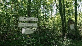 Eggenburg (NÖ), eine Bergrunde zum Vitusberg, Galgenberg und Kalvarienberg