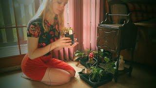 Soft Spoken Houseplant Tour ASMR