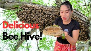 Eating Delicious Bee Hive with live BEES! Zzzzzzzz! | Jin Su | #mukbang