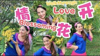 Blossoming Love (情花开) - Line Dance (Back View Walkthrough) #情花开