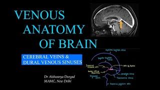 CEREBRAL VENOUS ANATOMY l RADIOLOGY l DURAL VENOUS SINUSES l CEREBRAL VEINS l MR VENOGRAPHY