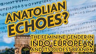 The Feminine Gender in Indo-European - Exploring Anatolian Echoes and the Curious *-h2 suffix