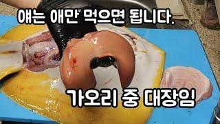 노랑가오리를 생전 처음 손질하는 사람 ㅋㅋㅋ (Feat. 회, 애탕, 무침)