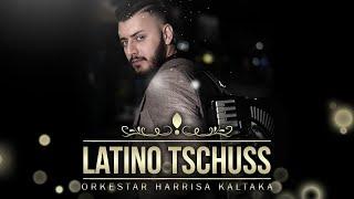 Orkestar Harisa Kaltaka - Latino Tschuss "Muzika naroda" TV Hayat