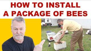 Beekeeping | TIPS On How To Install A Package Of Bees