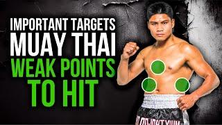 HOW TO KNOCKOUT YOUR OPPONENT! | The Best Spots to HIT in MUAY THAI