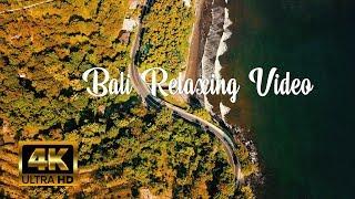 1-Hour BALI Nature Relaxing Video by Drone with Balinese ambient music