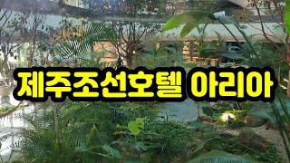 그랜드조선제주 아리아 디너