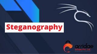steganography