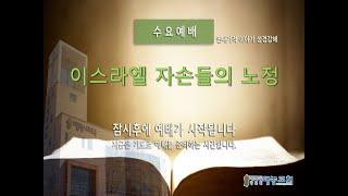 청주대농교회 25년 6월 18일 수요예배