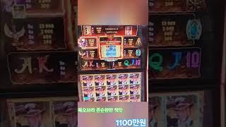 강원랜드 카지노(casino) 인기슬롯(slotmachine) 북오브라(Book of Ra) 잭팟(maximum jackpot) 존슨 완판